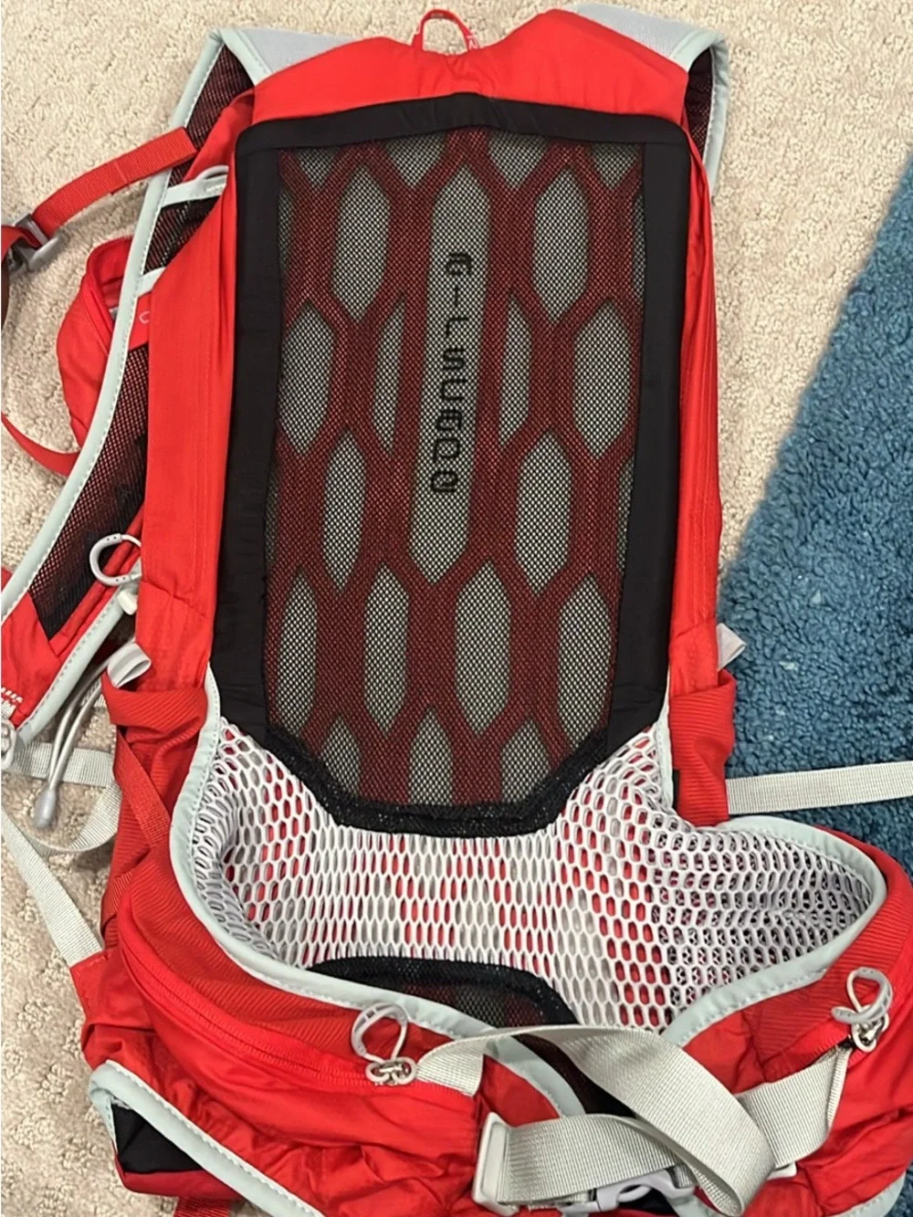 OSPREY Red and Gray Women's Backpack